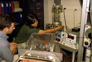 plasma experiments