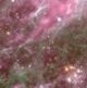 Tarantula nebula