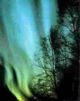 Auroral plasmas